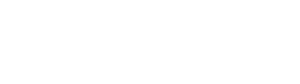 Logo-texte-blanc-transparent-BPF_STELLANTIS_siege-01-01-1-450x224